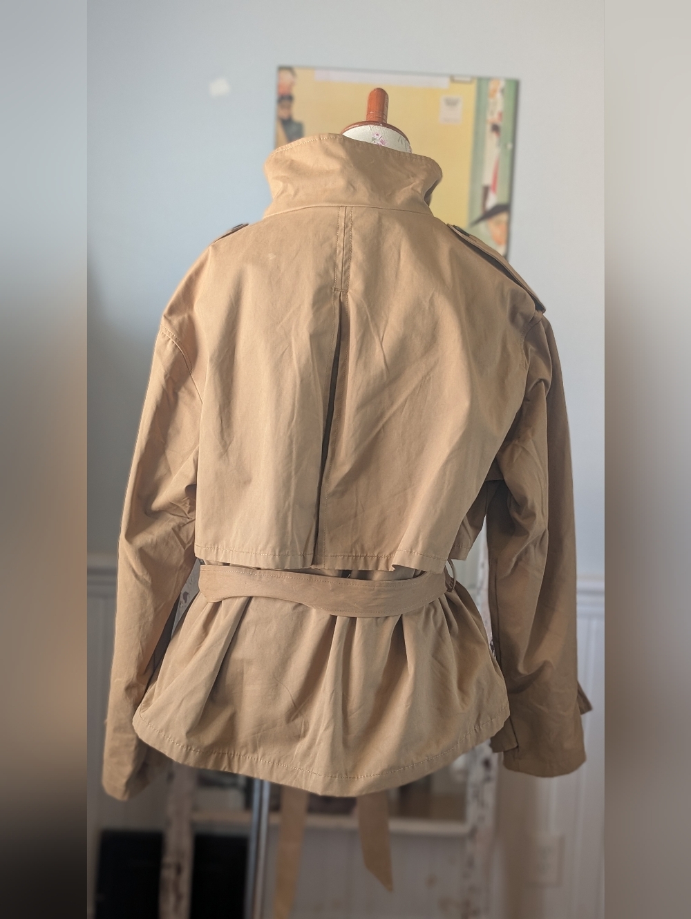 Zara Black Label  Brown‎ Belted Utility Jacket - Picture 4 of 8